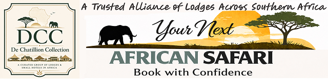 Your Next African Safari